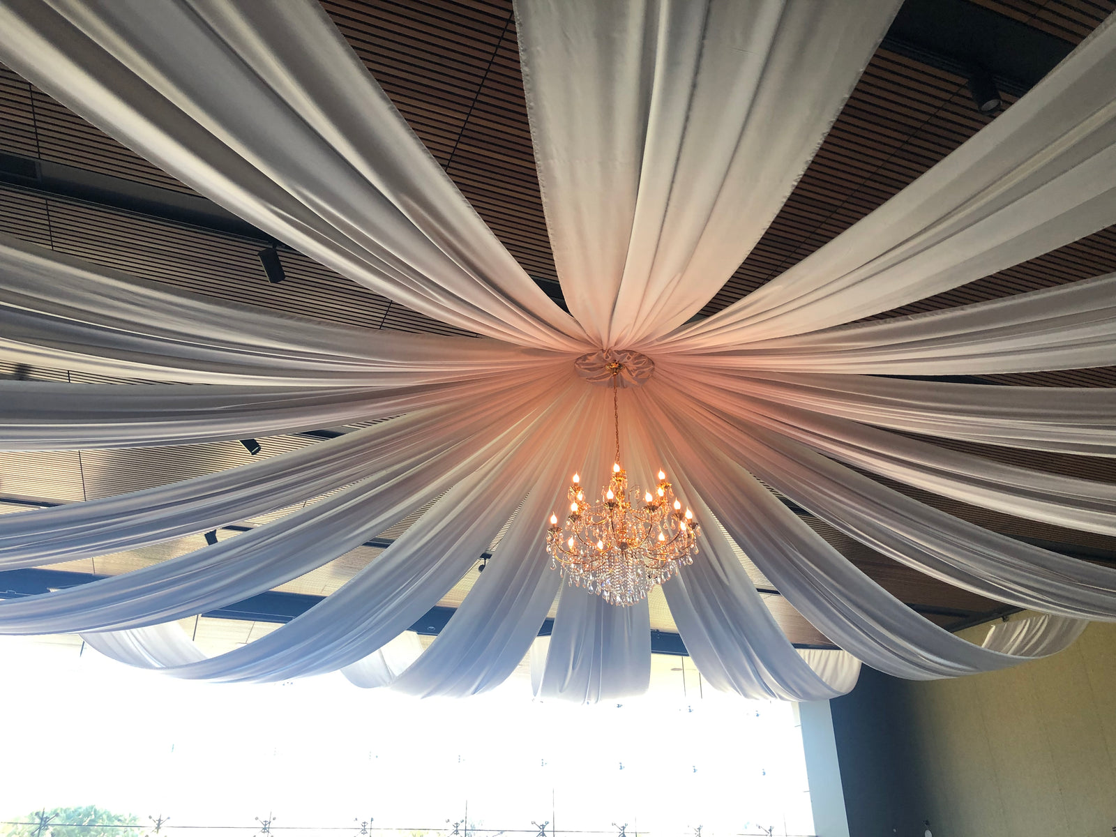 Ceiling & Wall Draping